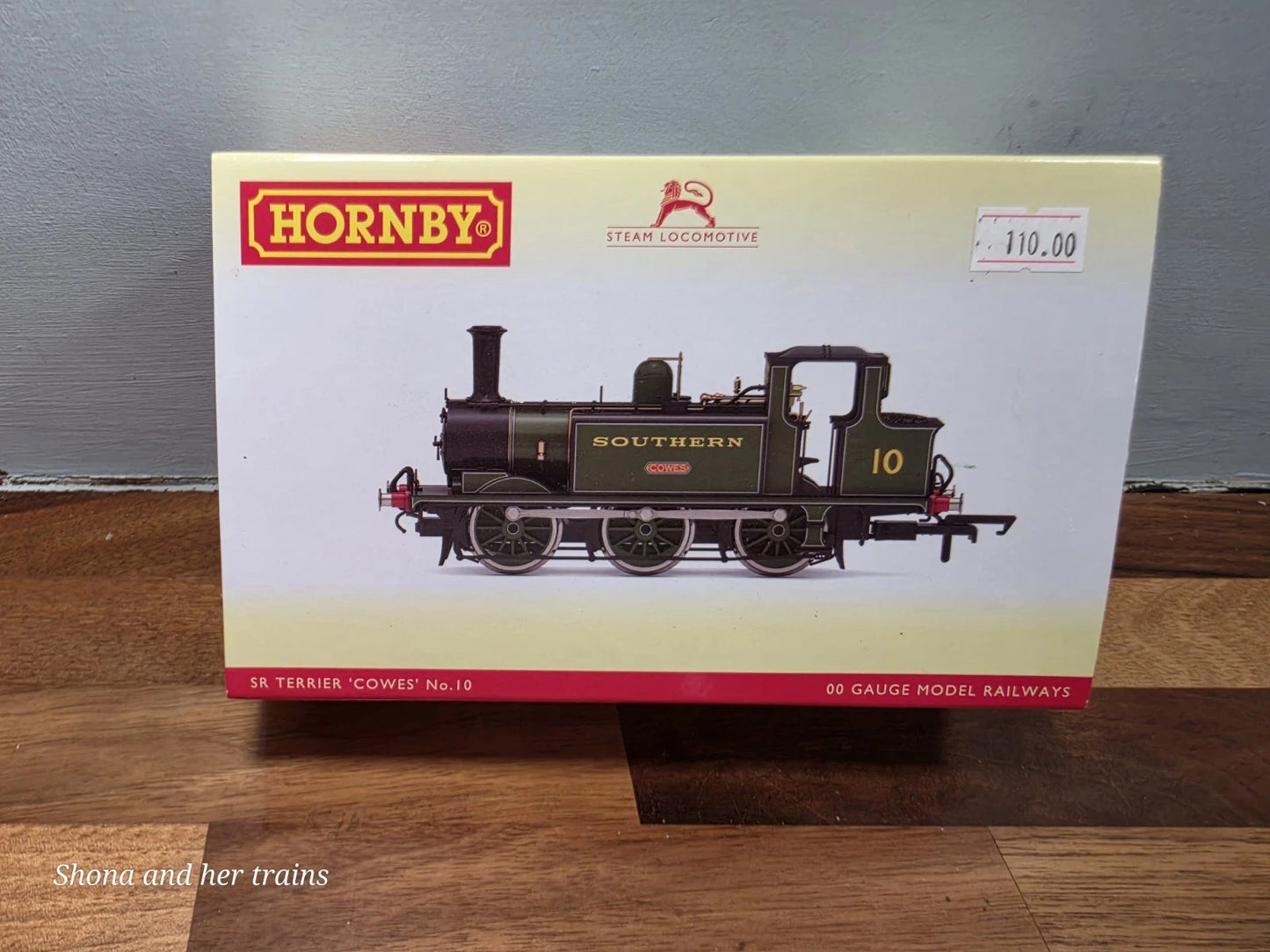 Hornby R3812 SR Class A1 A1X Terrier Cowes No 10 Locomotive